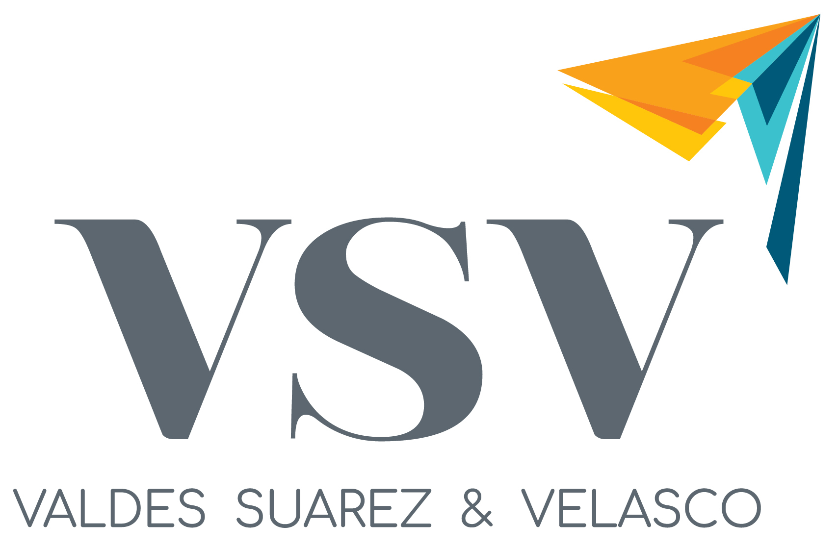 VSV Logo